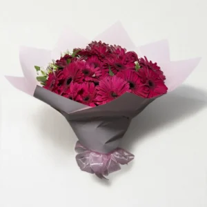 Ramo de 20 gerberas fucsia