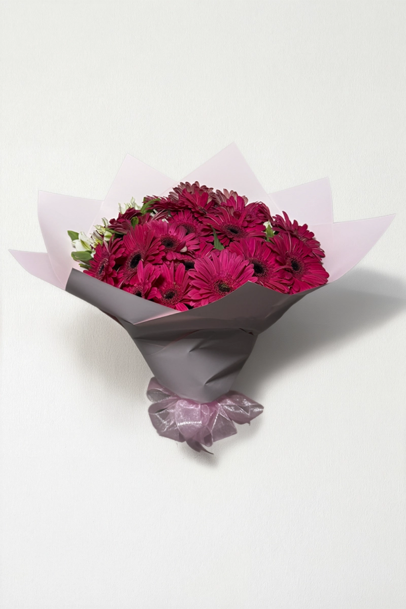 Ramo de 20 gerberas fucsia