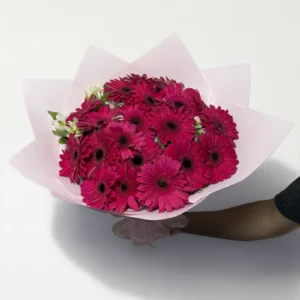 Ramo de 20 gerberas fucsia: imagen 2