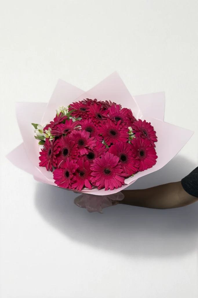 Ramo de 20 gerberas fucsia