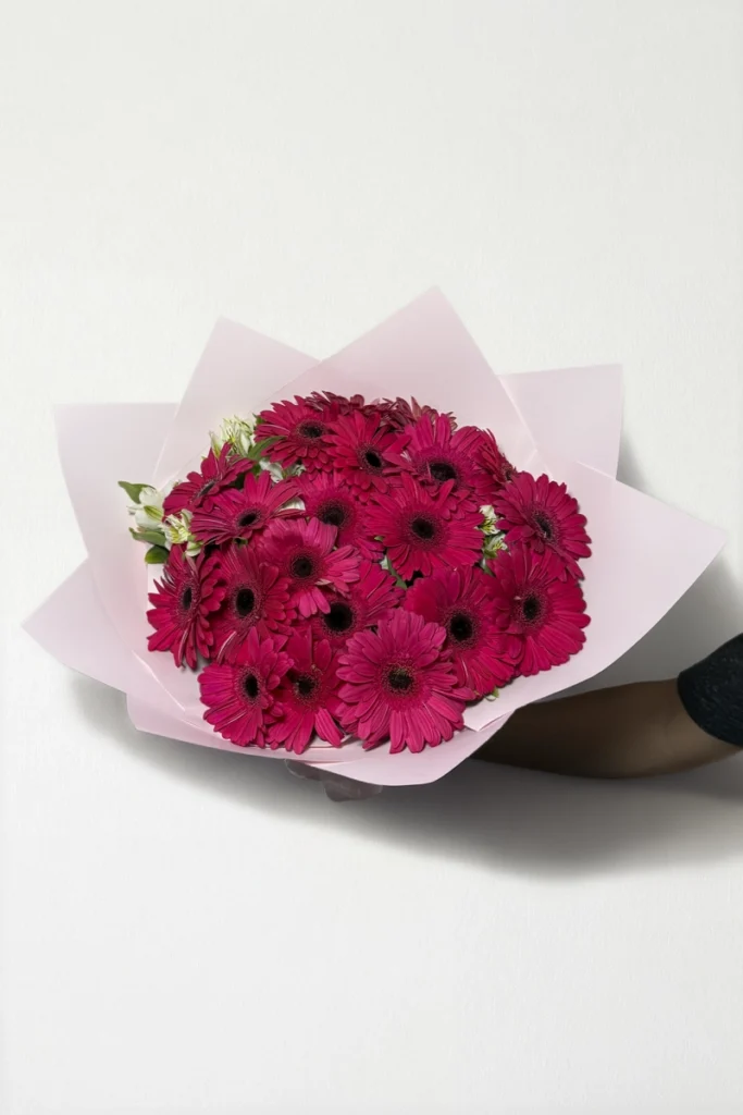 Ramo de 20 gerberas fucsia