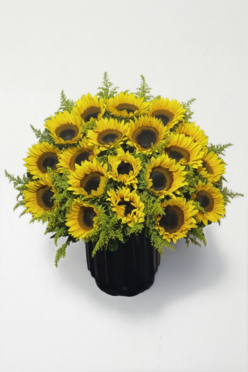 Arreglo de 18 girasoles