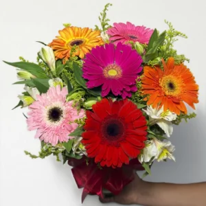 Arreglo de 6 gerberas mixto: imagen 2