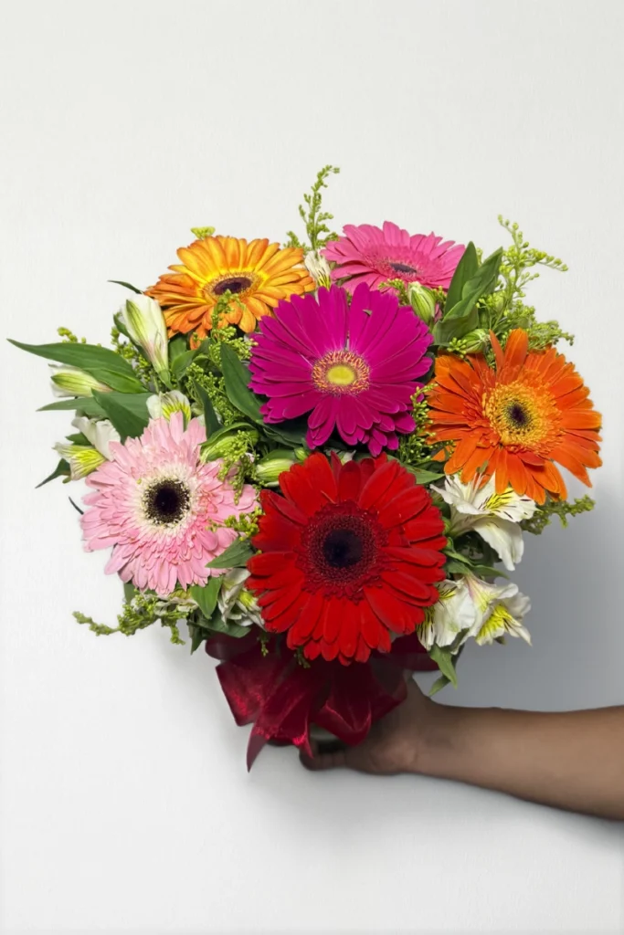 Arreglo de 6 gerberas mixto